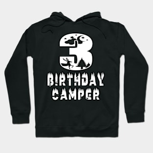 3rd Birthday Camper 3 Years Old Camping Lover Theme Party print Hoodie